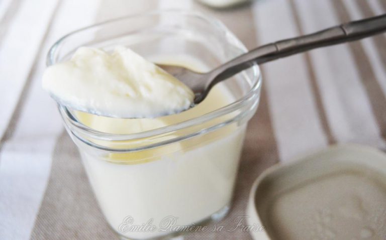 Yaourts au lait concentré sucré Emilie Ramène sa Fraise