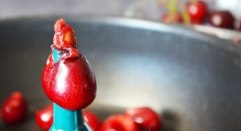 Dénoyauter des cerises sans dénoyauteur
