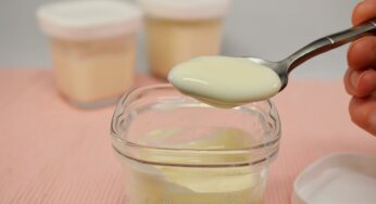Crème dessert à la vanille à la multidélice